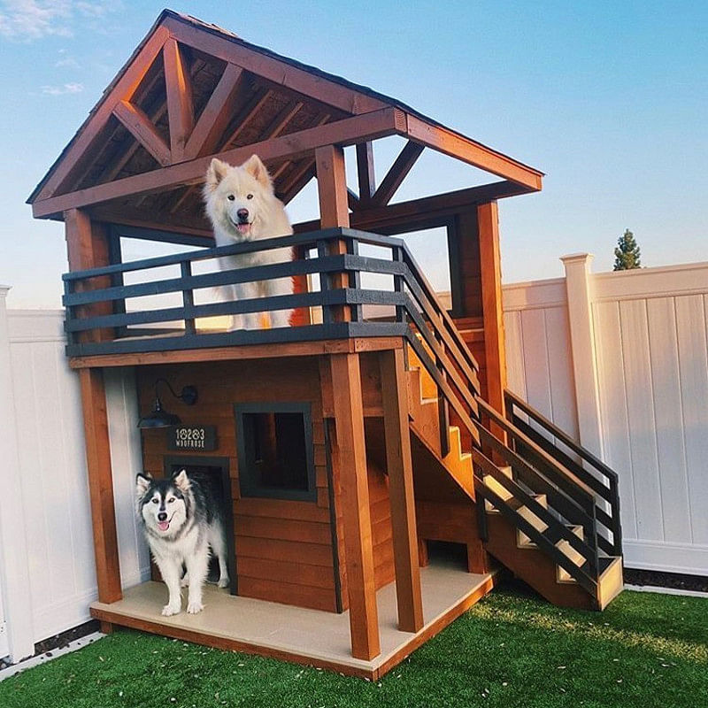 19 Diy Dog House Ideas That Work In 2021 Houszed - Easy Diy Dog House Heater