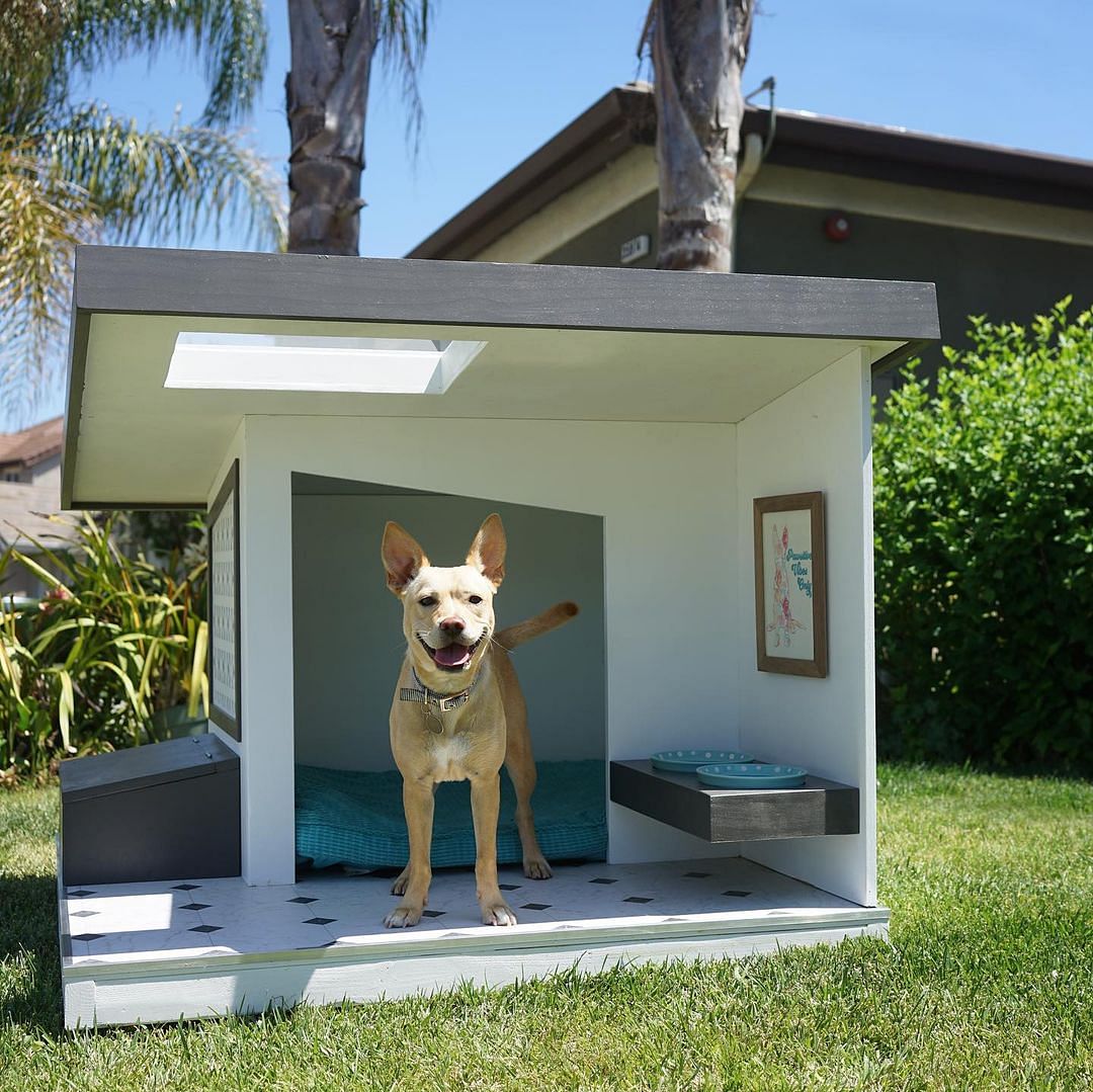 photo Backyard Cement Dog House 19 diy dog house ideas that work in