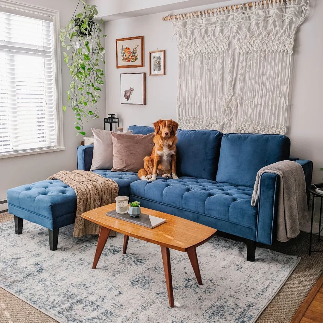Navy Blue Sectional Sofa Ideas | Cabinets Matttroy
