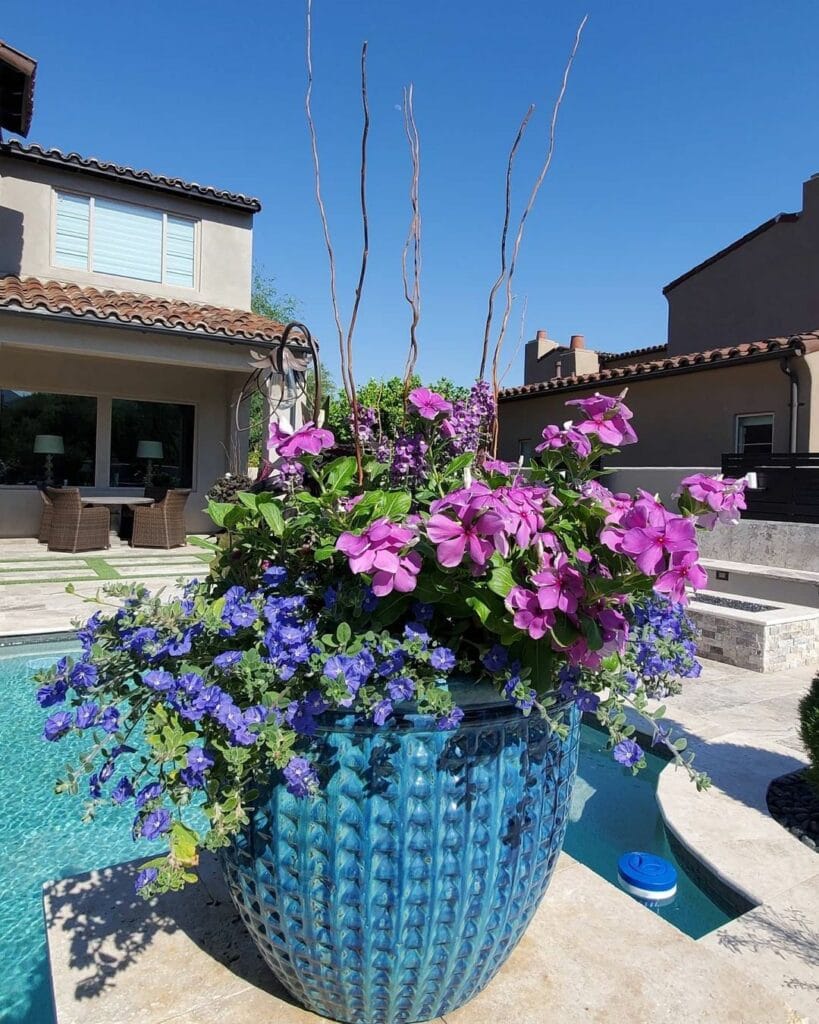 27+ Poolside Planter Ideas That Create Value in 2026 | Houszed